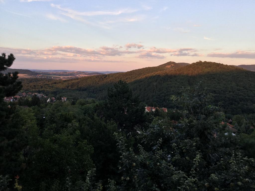 Panorama Kert Hotel Solymár Kültér fotó