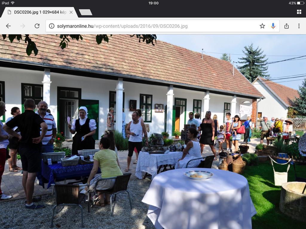 Panorama Kert Hotel Solymár Kültér fotó