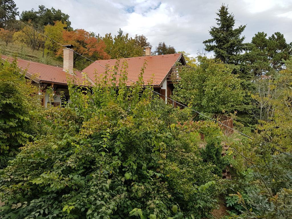 Panorama Kert Hotel Solymár Kültér fotó