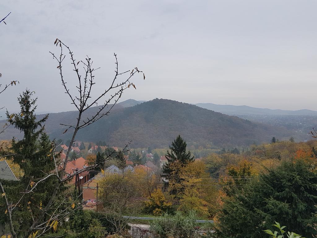 Panorama Kert Hotel Solymár Kültér fotó