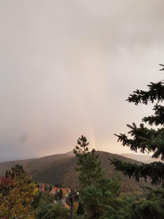 Panorama Kert Hotel Solymár Kültér fotó