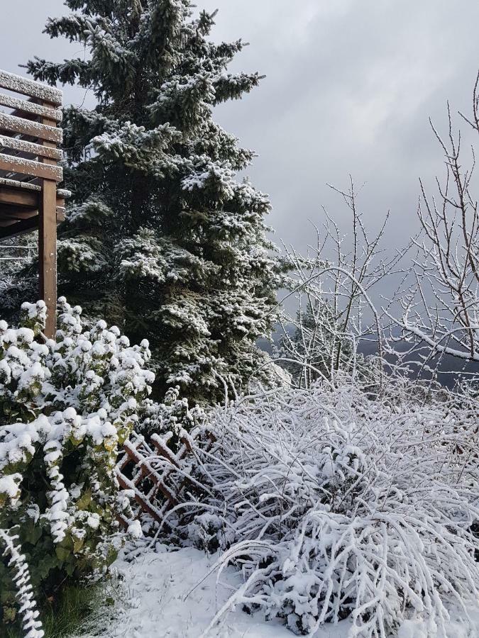 Panorama Kert Hotel Solymár Kültér fotó