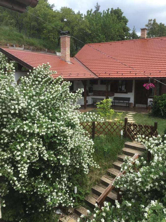 Panorama Kert Hotel Solymár Kültér fotó